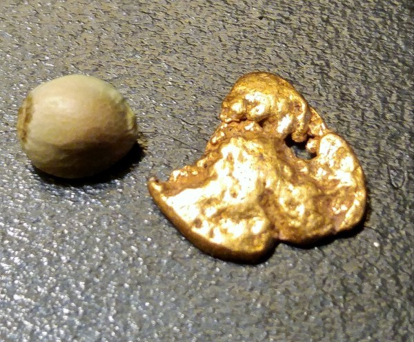 20161203_131116_HDR-1