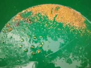 529330_151627461676734_928020953_n