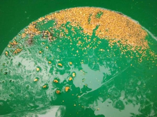 529330_151627461676734_928020953_n