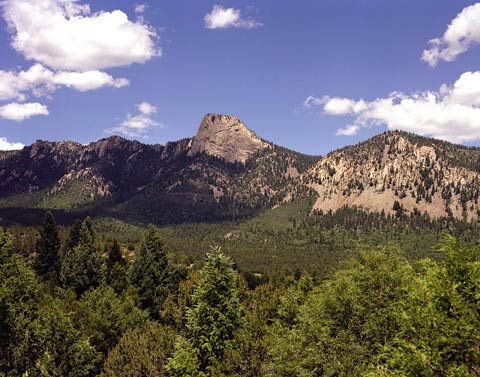 c9850fd14c24bbd1f28a560f5561df71